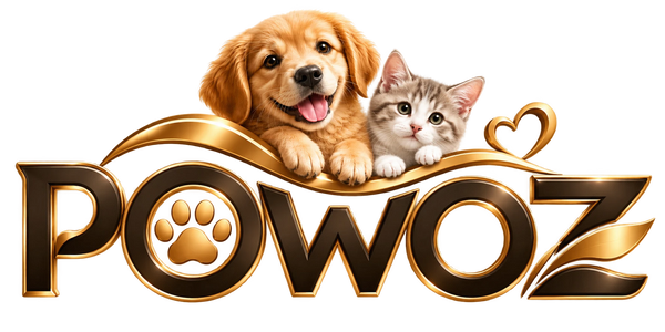 powoz